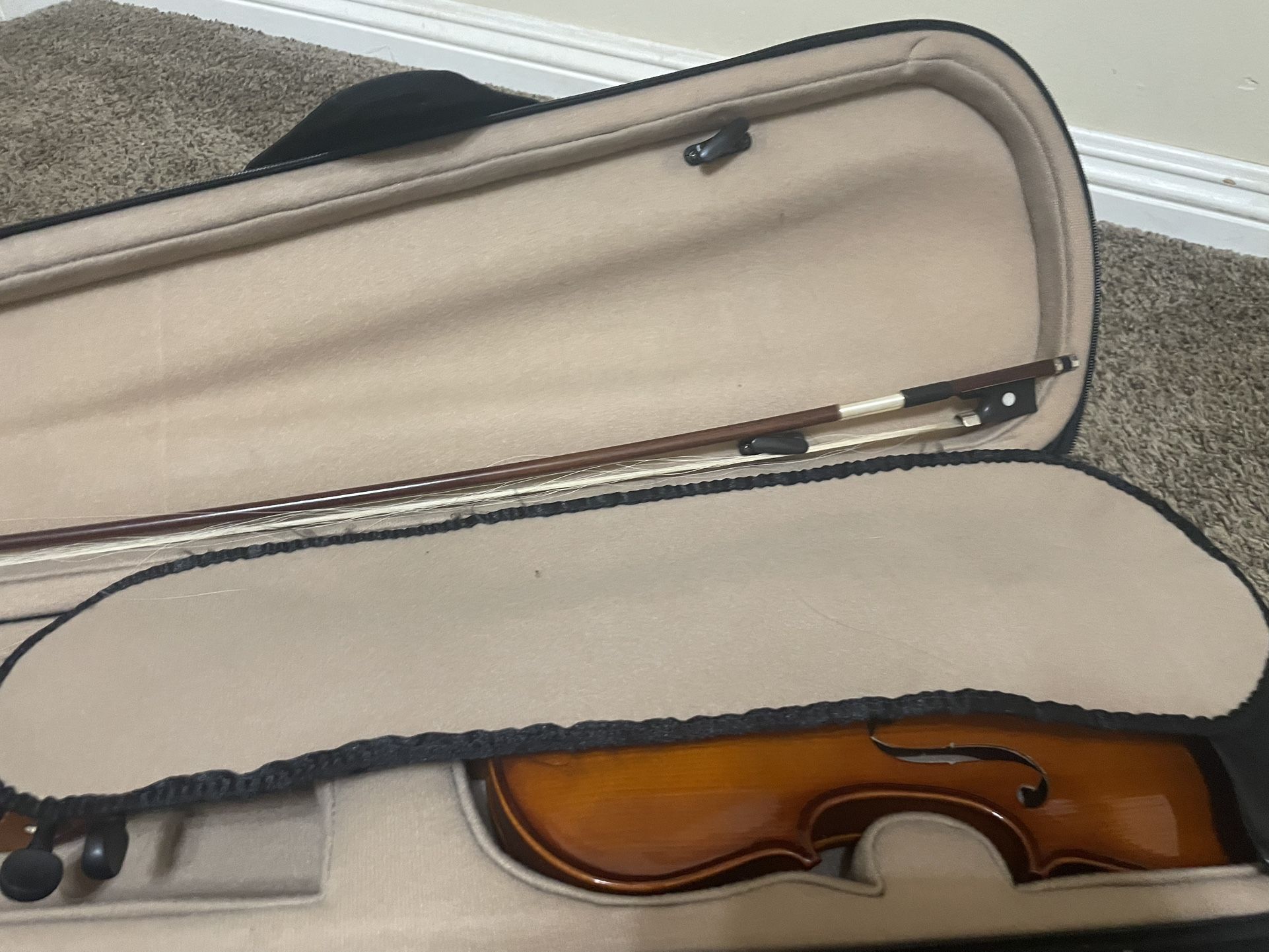 Violin