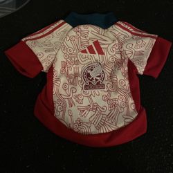Football Mexico Team  XS T -Shirt For Dog