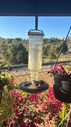 GLASS HUMMINGBIRD FEEDER