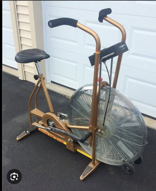 Schwinn Air Dyne Gold Standing Bike