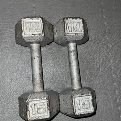 15LB Weights 