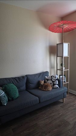 Grey couch