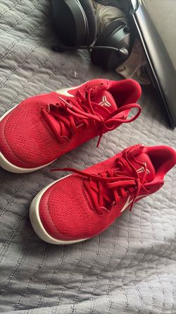 Kobe 8 university red