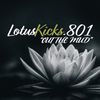 IG:LotusKicks.801