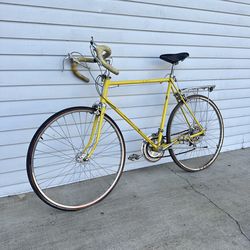 Schwinn Project Bike