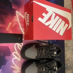 Dunk Low ‘ Anthracite’ Sz 10.5 Ds