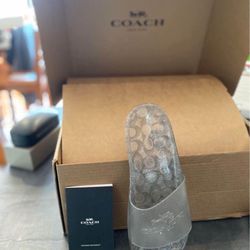 Brand New, Never Opened, Coach Jelly Shoes Size 11