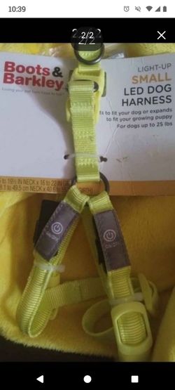 New Light Up Dog Harness From Target