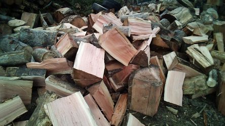 Dry Fire Wood