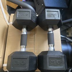 Dumbbell 30 Lbs Pair 