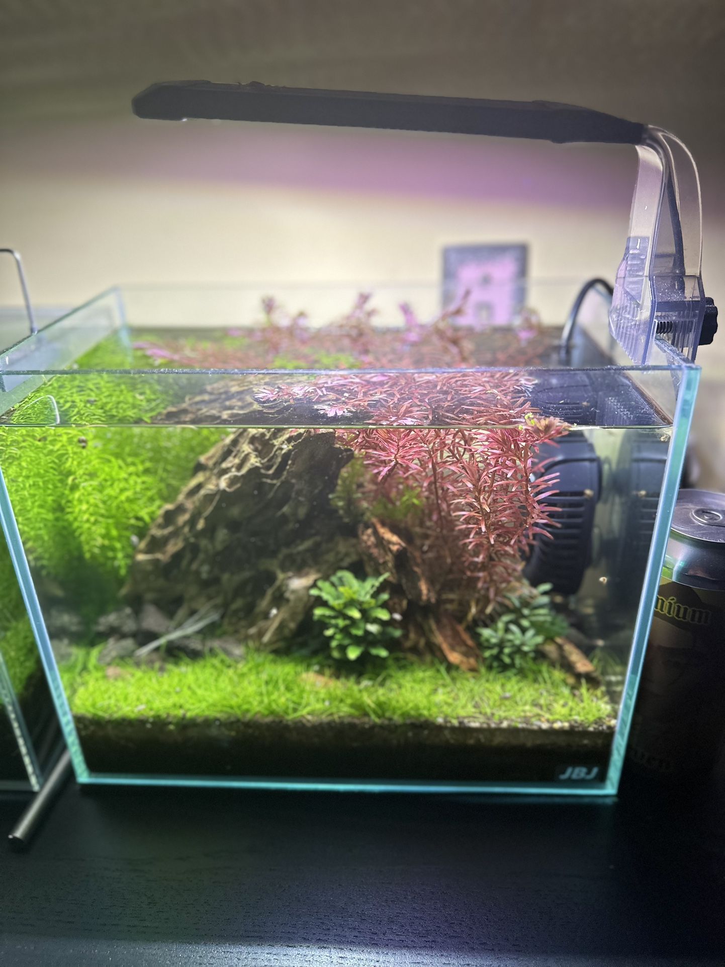 JBJ 3G Rimless Walstad Tank