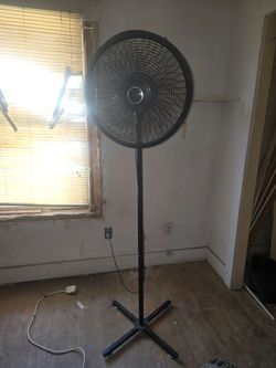 5 foot lasko fan