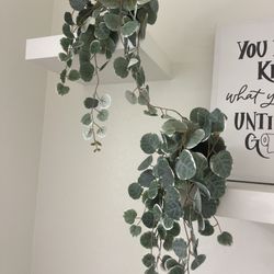 Fake Plants 