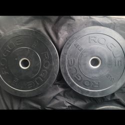 Rogue 45lbs  Bumper Weights 