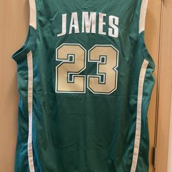 LeBron James Irish Jersey Nike Official Basketball 🏀 