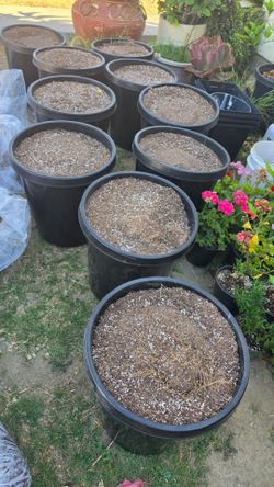 Tierra y plantas