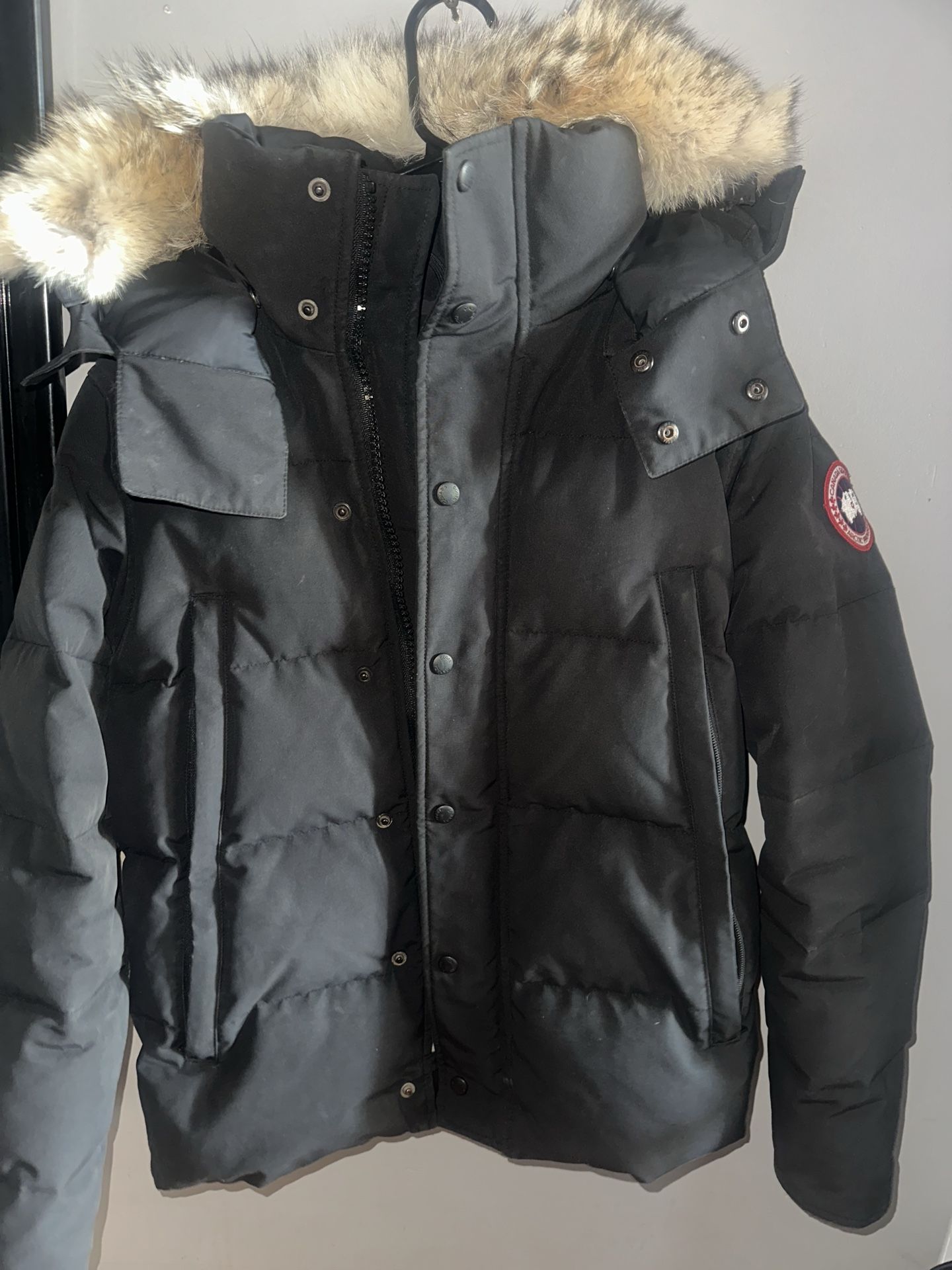 Size small Canada goose
