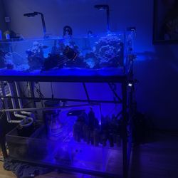 Tank For Sale