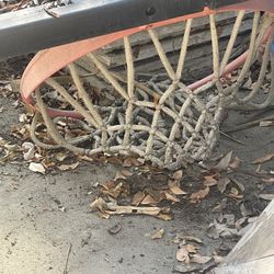Basketball Hoop