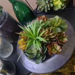 Terrarium, Faux Plant