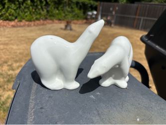 Polar bears