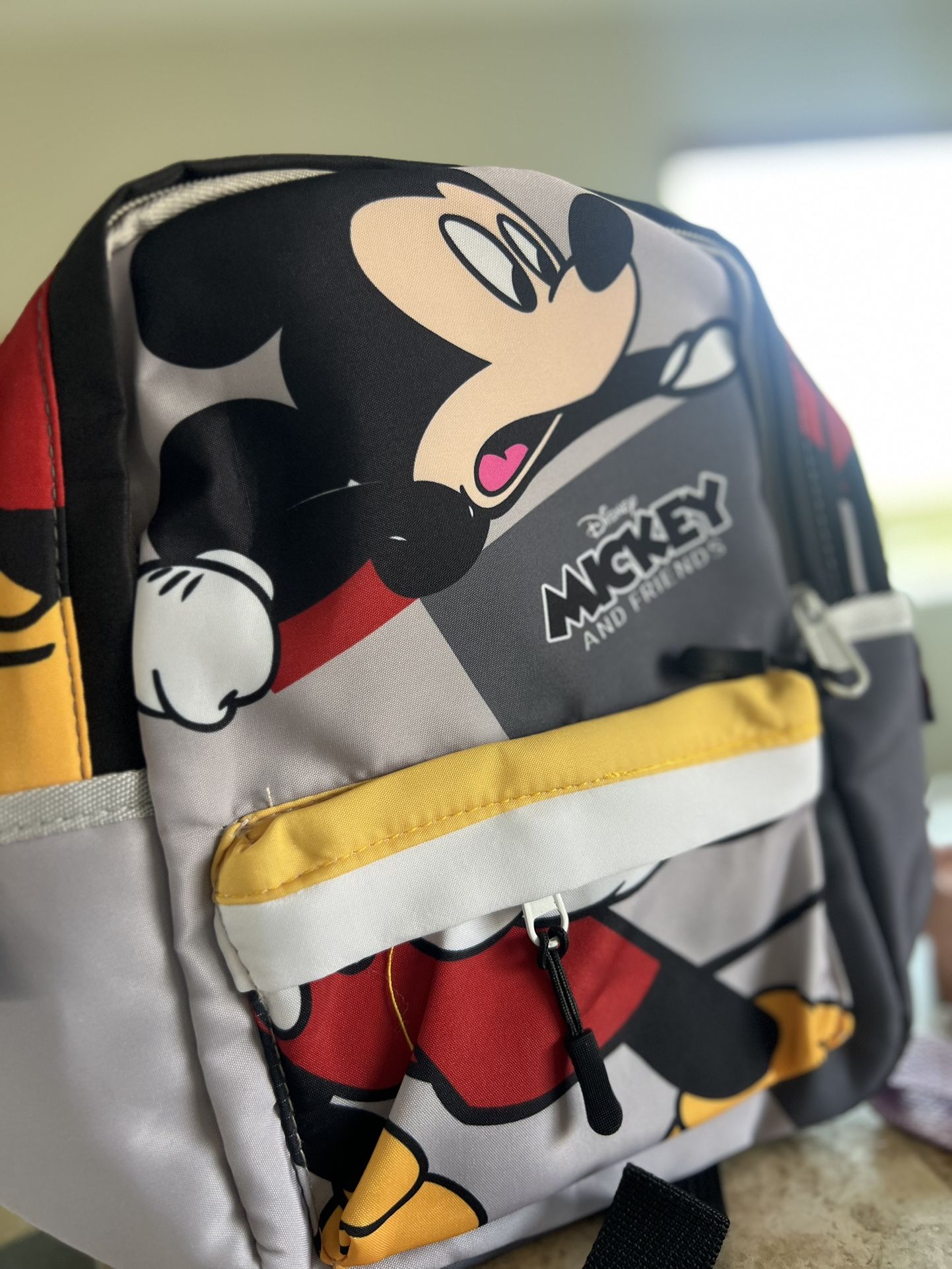 Disney Cartoon Backpack
