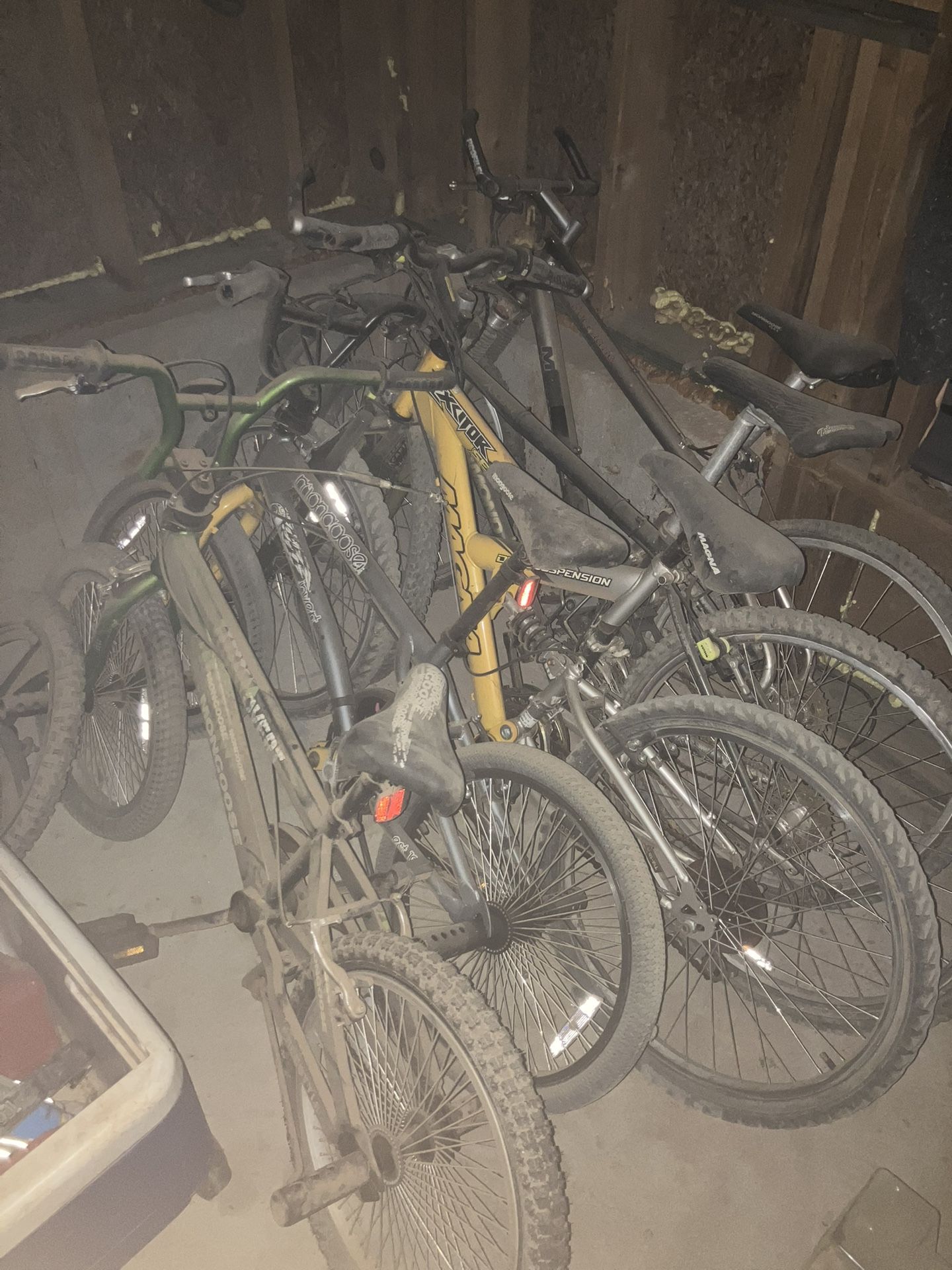 Mongoose Bicycle Bike