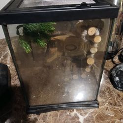 Lizard Cage