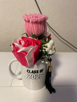 Graduation Mugs
