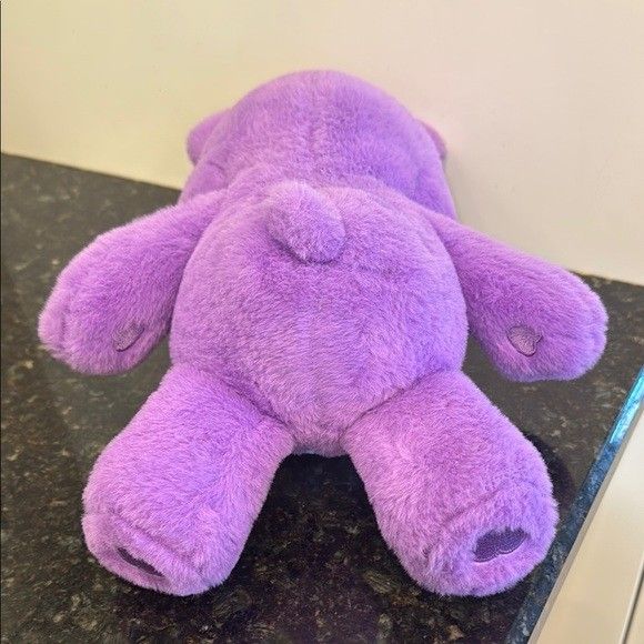 Care Bears Share Bear 13” Plush Toy Stuffed Animal Purple Lollipops 2020 EUC