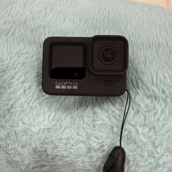 Gopro Hero Nine Black Excellent Condition Basically New  (CAMARA And Charger)