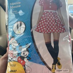 Minnie Mouse Dress 