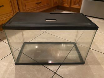 10 gallon aquarium