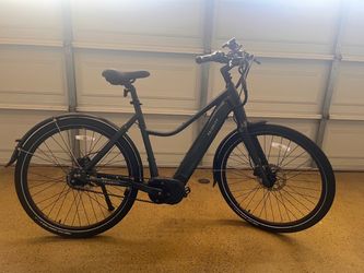 Priority Current Plus ebike