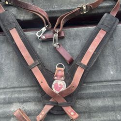 Occidental Suspenders