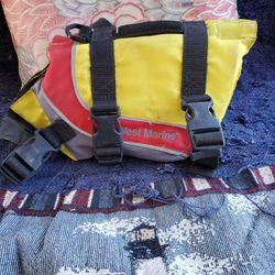 Life Vest