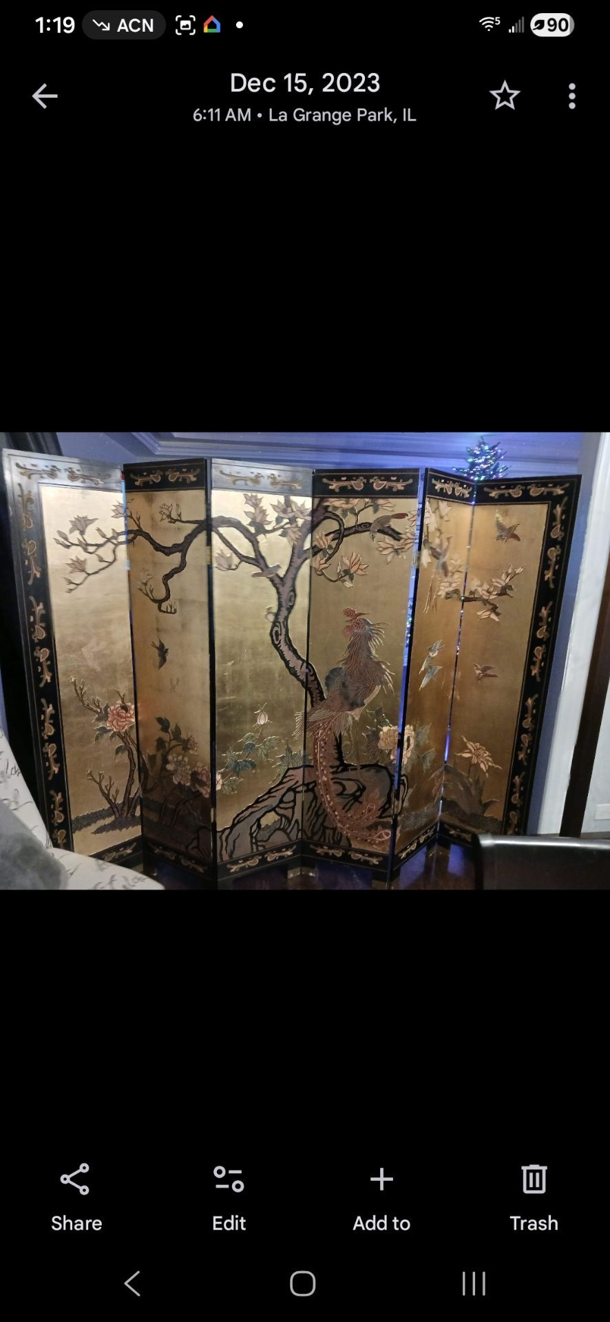 Increadable japenese room divider