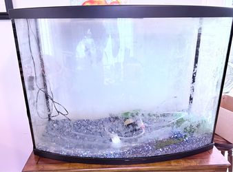 Aquarium/Terrarium