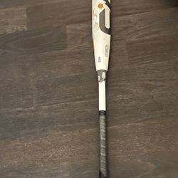 Baseball Bat Demarini CF 2022 Usssa -5  31 inch