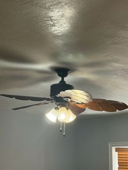 Nice fan