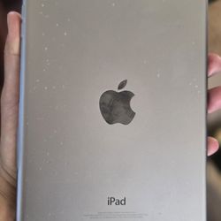 Small Apple Ipad