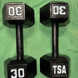 30lb Dumbbells 