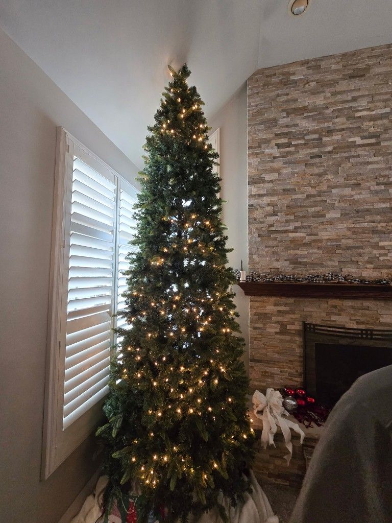 12 Ft. Christmas Tree
