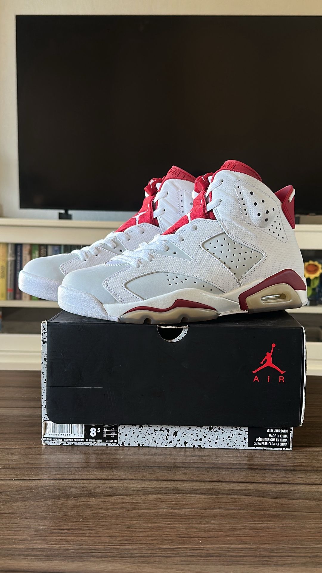 DS Nike Air Jordan 6s Alternate Hare
