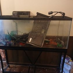 Fish Tank 