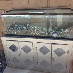 Reptile Tank with stand 
