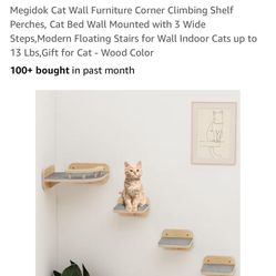 Cat Shelves