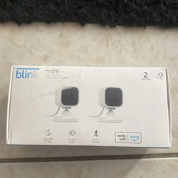 Blink Mini cameras