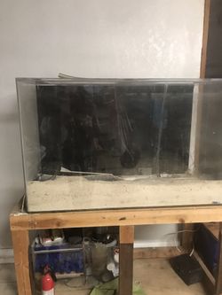 Salt water first tank