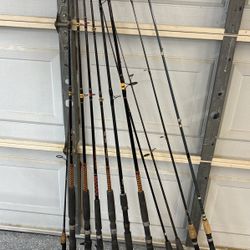 11 Fresh and  Saltwater Fishing  Rods